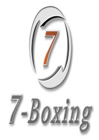 7-Boxing: Warum Manager boxen sollen