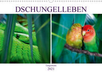 Dschungelleben - Tierportraits (Wandkalender 2021 DIN A3 quer)