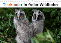 Tierkinder in freier Wildbahn (Wandkalender 2022 DIN A4 quer)