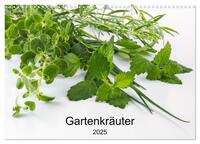 Gartenkräuter (Wandkalender 2025 DIN A3 quer), CALVENDO Monatskalender