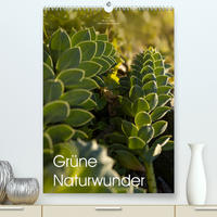 Grüne Naturwunder (Premium, hochwertiger DIN A2 Wandkalender 2023, Kunstdruck in Hochglanz)