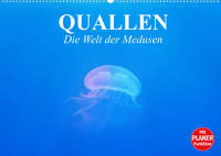 Quallen. Die Welt der Medusen (Wandkalender 2022 DIN A2 quer)