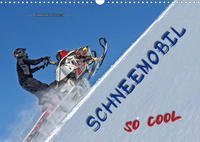 Schneemobil - so cool (Wandkalender 2023 DIN A3 quer)