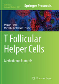 T follicular Helper Cells