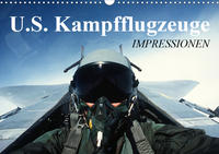 U.S. Kampfflugzeuge. Impressionen (Wandkalender 2021 DIN A3 quer)