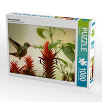 CALVENDO Puzzle Smaragd-Kolibri 1000 Teile Lege-Größe 64 x 48 cm Foto-Puzzle Bild von Dirk Stamm