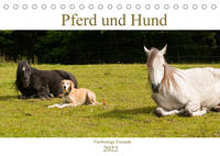 Pferd und Hund - Vierbeinige Freunde (Tischkalender 2022 DIN A5 quer)