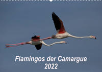 Flamingos der Camargue 2022 (Wandkalender 2022 DIN A2 quer)