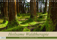 Heilsame Waldtherapie - Waldbaden nach Shinrin Yoku (Wandkalender 2023 DIN A4 quer)