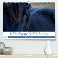 Isländische Schönheiten (Premium, hochwertiger DIN A2 Wandkalender 2023, Kunstdruck in Hochglanz)