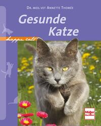 Gesunde Katze