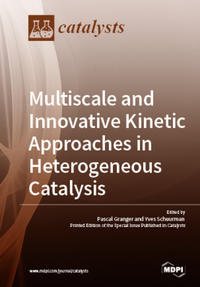 Multiscale and Innovative Kinetic Approaches in Heterogeneous Catalysis