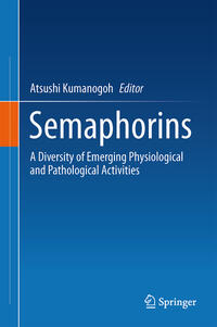 Semaphorins