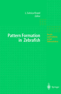 Pattern Formation in Zebrafish