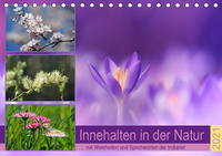 Innehalten in der Natur ... mit Weisheiten und Sprichworten der Indianer (Tischkalender 2021 DIN A5 quer)