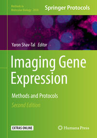 Imaging Gene Expression