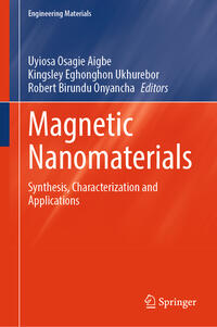 Magnetic Nanomaterials