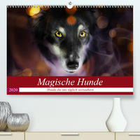 Magische Hunde - Hunde die uns täglich verzaubern (Premium, hochwertiger DIN A2 Wandkalender 2020, Kunstdruck in Hochglanz)