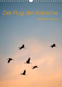 Der Flug der Kraniche (Wandkalender 2023 DIN A3 hoch)