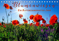 Blumenwiesen – ein blütenzauberhaftes Jahr (Tischkalender 2023 DIN A5 quer)