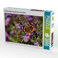 CALVENDO Puzzle Farbenprächtiger Schmetterling im Sonnenlicht 2000 Teile Lege-Größe 90 x 67 cm Foto-Puzzle Bild von Schwan