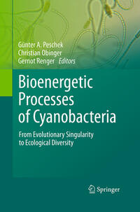 Bioenergetic Processes of Cyanobacteria