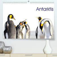 Antarktis - viaje.ch (Premium, hochwertiger DIN A2 Wandkalender 2022, Kunstdruck in Hochglanz)