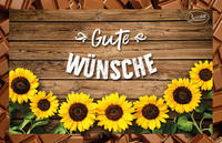 Gute Wünsche