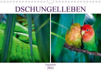 Dschungelleben - Tierportraits (Wandkalender 2021 DIN A4 quer)