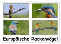 Europäische Rackenvögel (Wandkalender 2025 DIN A4 quer), CALVENDO Monatskalender