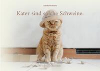 Kater sind solche Schweine.