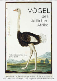 Vögel des südlichen Afrika (Wandkalender 2023 DIN A2 hoch)