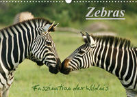 Zebras - Faszination der Wildnis (Wandkalender 2022 DIN A3 quer)