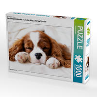 CALVENDO Puzzle Der Welpenkalender - Cavalier King Charles Spaniel 1000 Teile Lege-Größe 64 x 48 cm Foto-Puzzle Bild von Janina Bürger