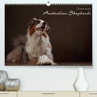 Charmante Australian Shepherds (Premium, hochwertiger DIN A2 Wandkalender 2023, Kunstdruck in Hochglanz)