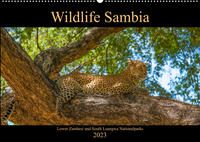 Wildlife Sambia (Wandkalender 2023 DIN A2 quer)