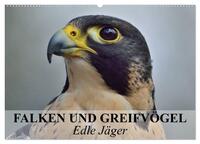 Falken und Greifvögel. Edle Jäger (Wandkalender 2025 DIN A2 quer), CALVENDO Monatskalender