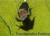 Froschparadies Franken (Wandkalender 2022 DIN A3 quer)