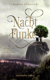 Nachtfunke 2