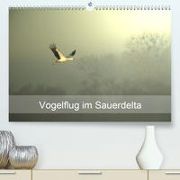 Vogelflug im Sauerdelta (Premium, hochwertiger DIN A2 Wandkalender 2020, Kunstdruck in Hochglanz)