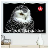 Greifvögel, Eulen und Käuze (hochwertiger Premium Wandkalender 2025 DIN A2 quer), Kunstdruck in Hochglanz