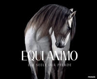 EQUI Animo – Die Seele der Pferde