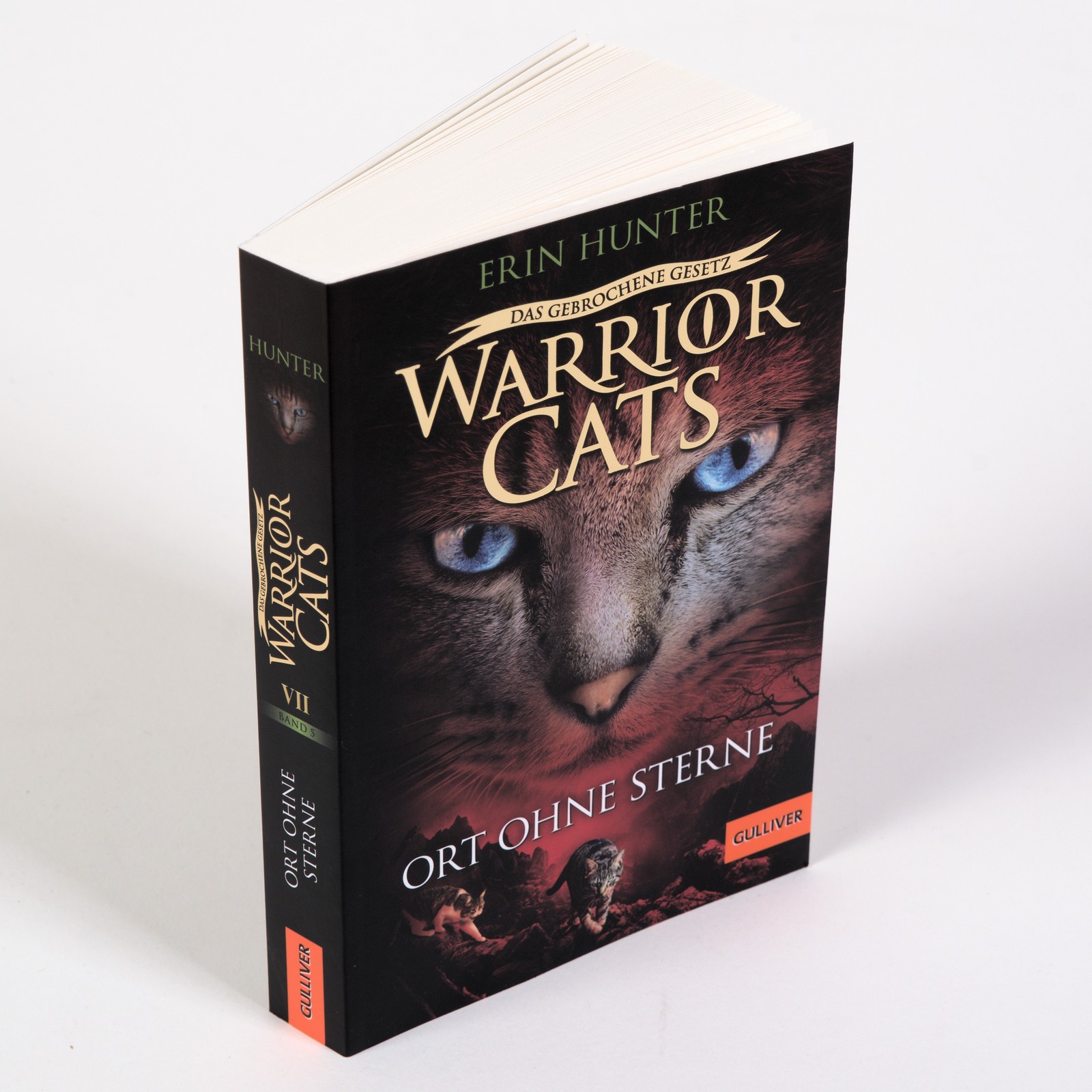 Warrior Cats - Das gebrochene Gesetz. Ort ohne Sterne