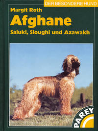 Afghane - Saluki, Sloughi und Azawakh