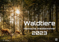 Waldtiere - Heimische Waldbewohner - Der Tierkalender - 2023 - Kalender DIN A3