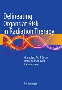 Delineating Organs at Risk in Radiation Therapy