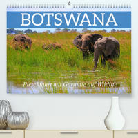 Botswana- Pirschfahrt mit Garantie auf Wildlife (Premium, hochwertiger DIN A2 Wandkalender 2022, Kunstdruck in Hochglanz)