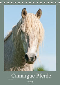 Camargue Pferde - weiße Mähnen (Tischkalender 2022 DIN A5 hoch)