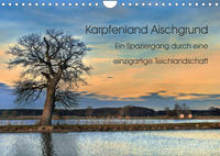 Karpfenland Aischgrund (Wandkalender 2022 DIN A4 quer)