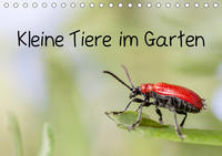 Kleine Tiere im Garten (Tischkalender 2021 DIN A5 quer)